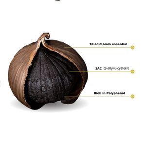 Black Dried Garlic with high quality and competitive price shipping to EU US ASIA Market