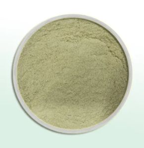 Cassia Gum Food Grade