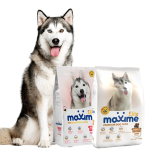 Maxime Elite Adult Dog
