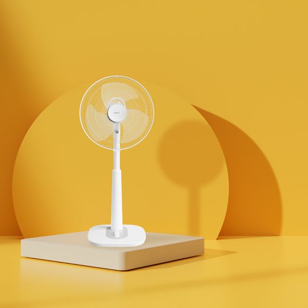 Portable Fan