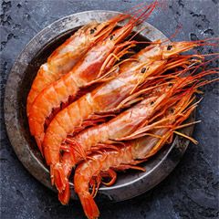 Shrimp