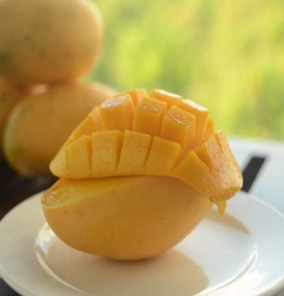 Fresh Mango