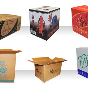 corrugated cartons and paper products