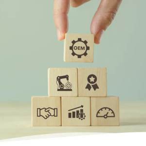 Electronics Manufacturing Services