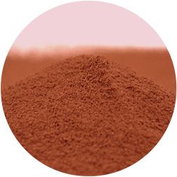 Alkalized Cocoa Powder Reddish Brown