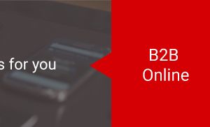 IT hardware, software, and enterprise solutions