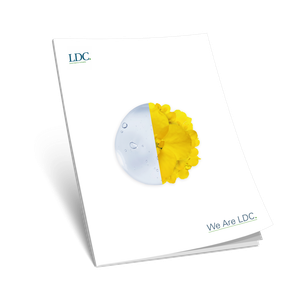 Food & Feed Solutions Brochure