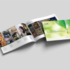 Plant-Based Ingredient Solutions