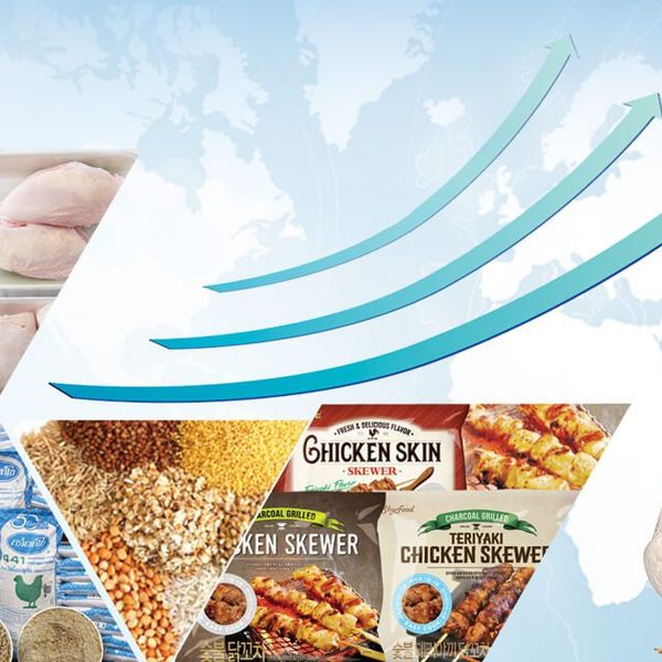 Chicken products and animal feeds