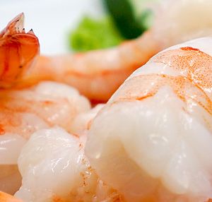 shrimp