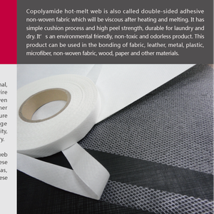 Copolyamide hot-melt web