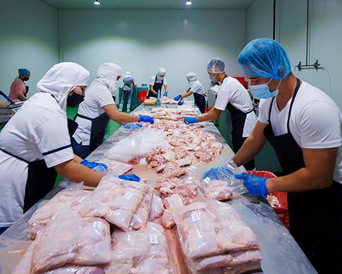 Meats and meat products