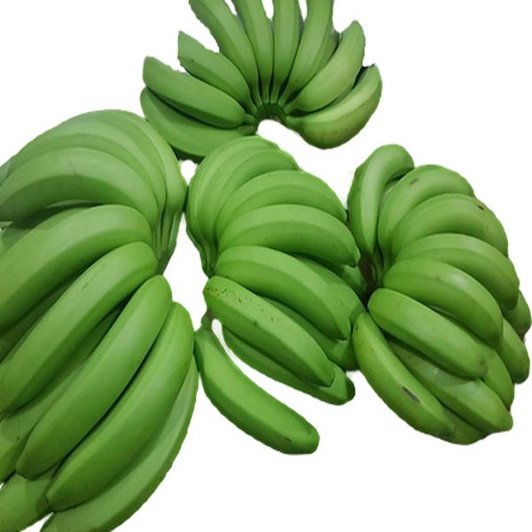 Cavendish Banana