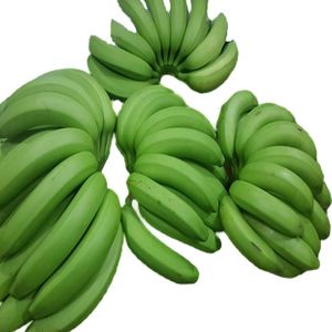 Cavendish Banana