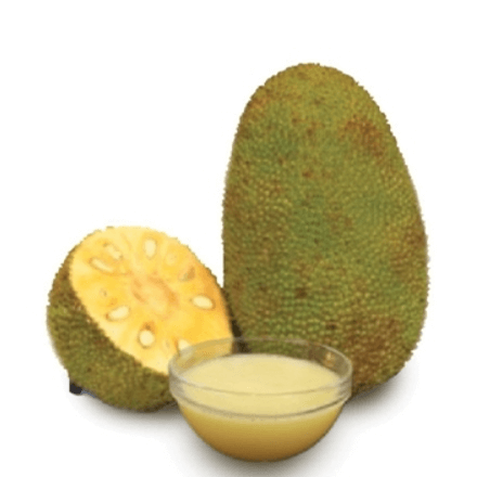 Langka Jackfruit