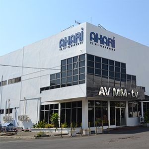 Consumer Electronic Products