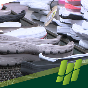 footwear