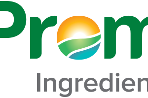 Company icon