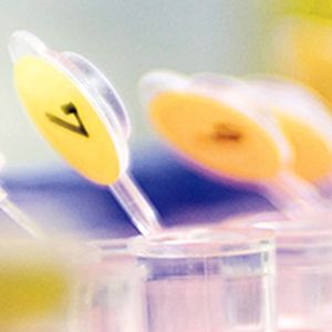 pharmaceutical products