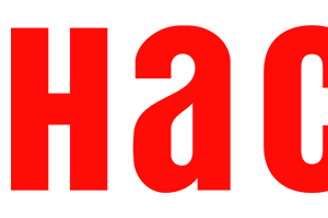 Company icon