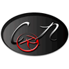 Company icon