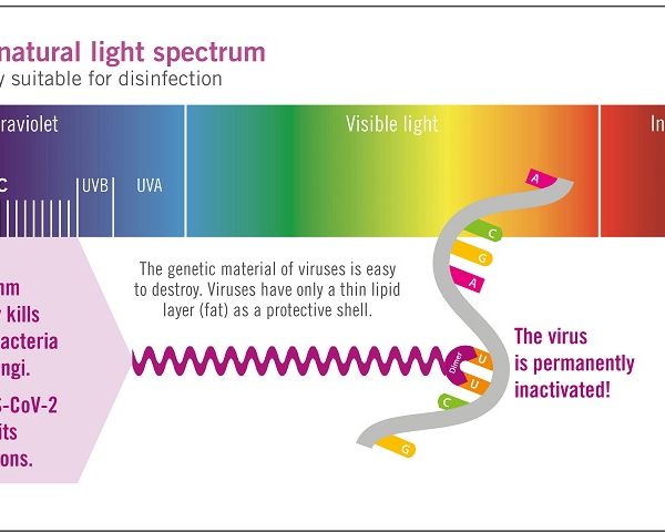 UV Lamps and Systems for Disinfection