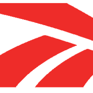Company icon