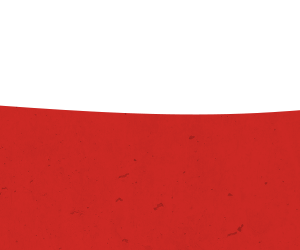 Red Wave Product Base