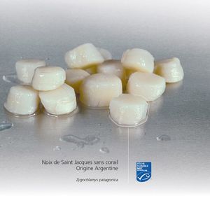Noix de Saint Jacques sans corail