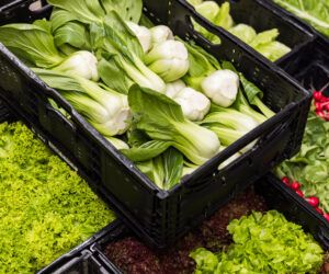 fresh vegetables