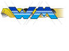 W-Metall CNC-Technik GmbH logo
