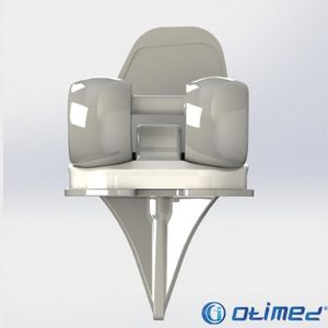 Knee Prosthesis - orthopedic implant - Knee replacement product
