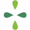 Company icon