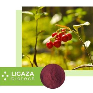 cranberry (Oxycóccus)