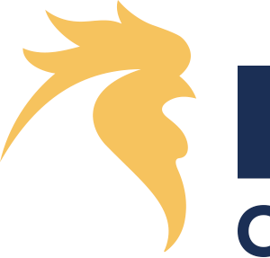 Company icon