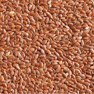 Flaxseed Protein - Professional, Agri-food, Cosmetic, Nutraceutical, Ingredients