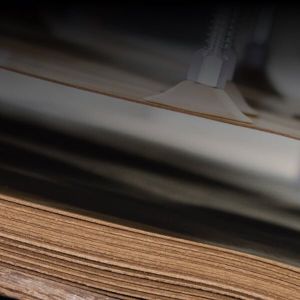 machines and systems for wood processing