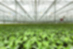 R FOUNTAIN & SON factory image 3