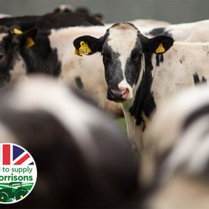 Our 40% Lower Emissions Beef