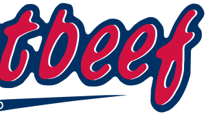 Company icon
