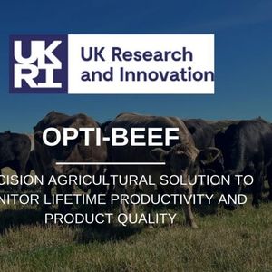 Opti-Beef