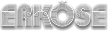 Company icon