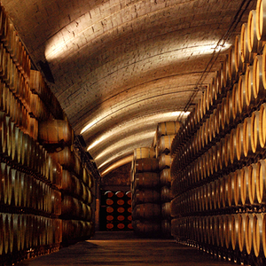 Los Llanos Winery