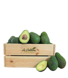 Avocado Hass Bio