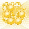 NUCLEUS, LTD logo