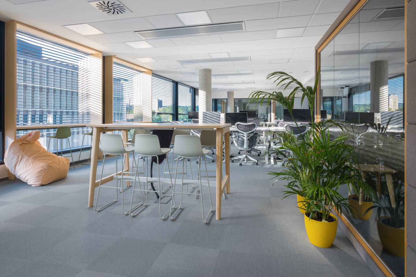 office chairs, desks, acoustic solutions