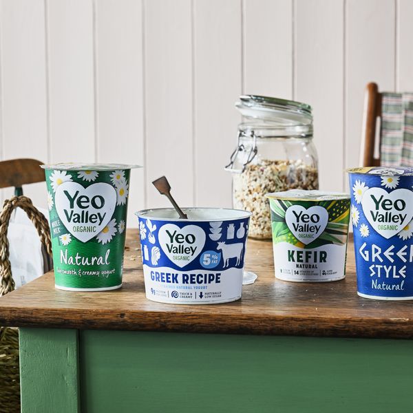 Yogurt