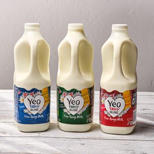 Milk