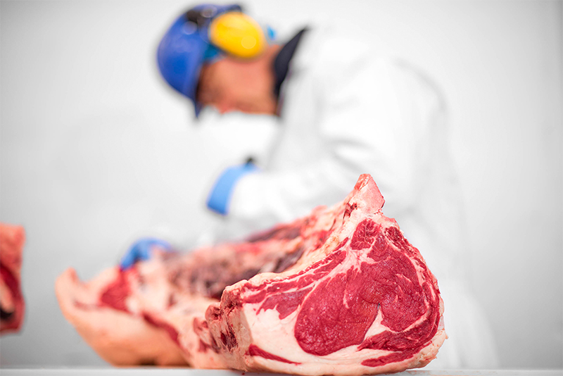 Beef & Lamb