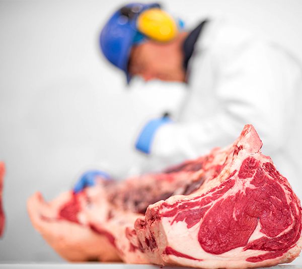 Beef & Lamb